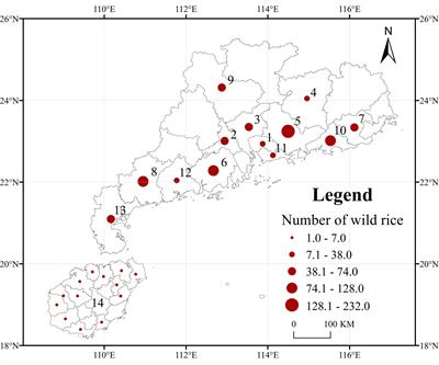 Genetic diversity of wild rice accessions (Oryza rufipogon Griff.) in Guangdong and Hainan Provinces, China, and construction of a wild rice core collection